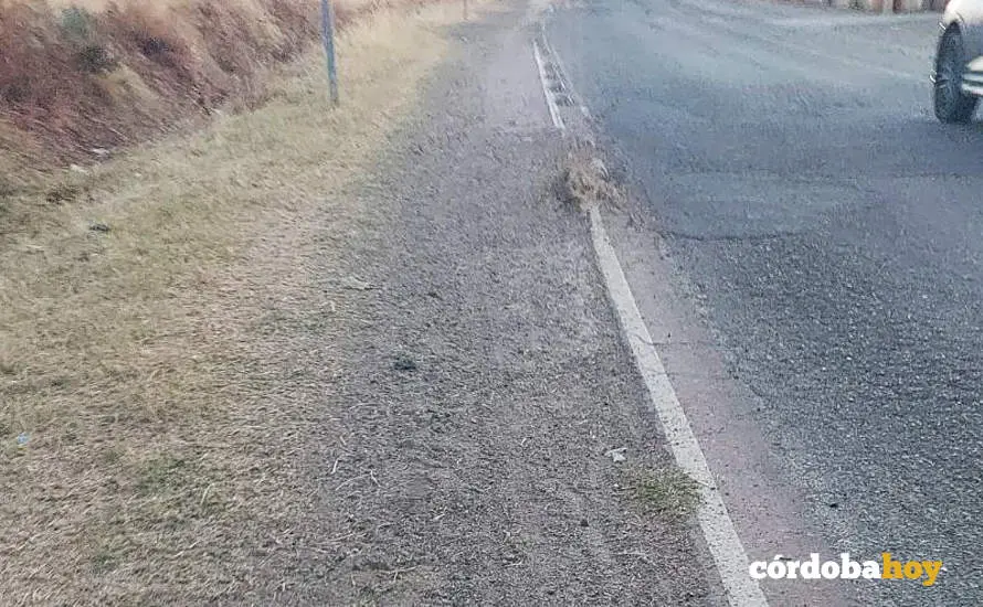 Tramo de carril-bici a Rabanales totalmente cubierto de arena FOTO ANDALUC&Iacute;A ENTRE TOD@S
