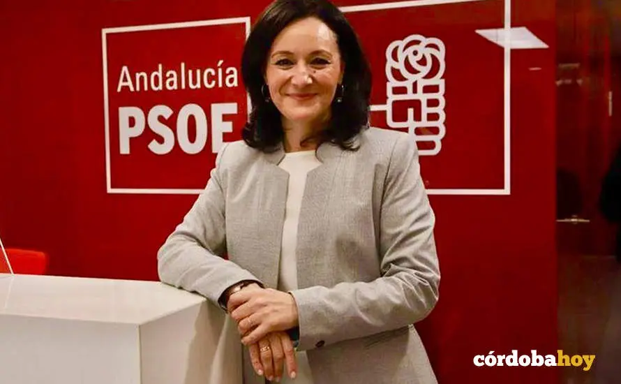 Rafi Cresp&iacute;n, en una imagen de archivo FOTO PSOE