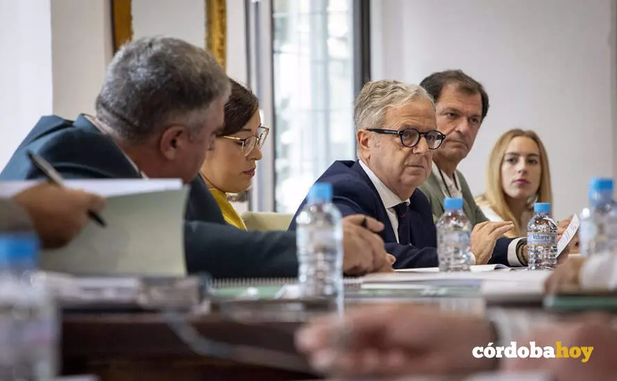 DIPUTACI&Oacute;N FUENTES