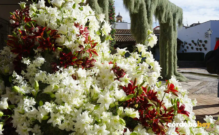 FLORA 632