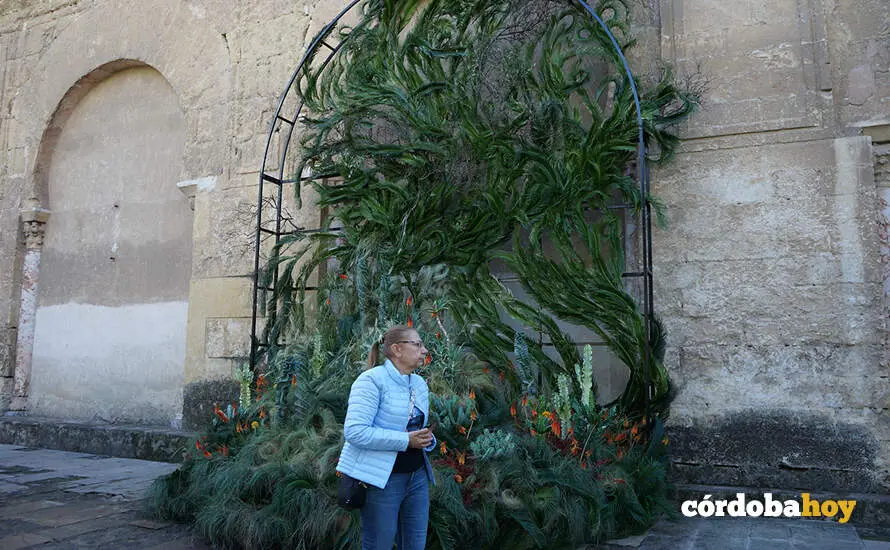 Flora mexzquita