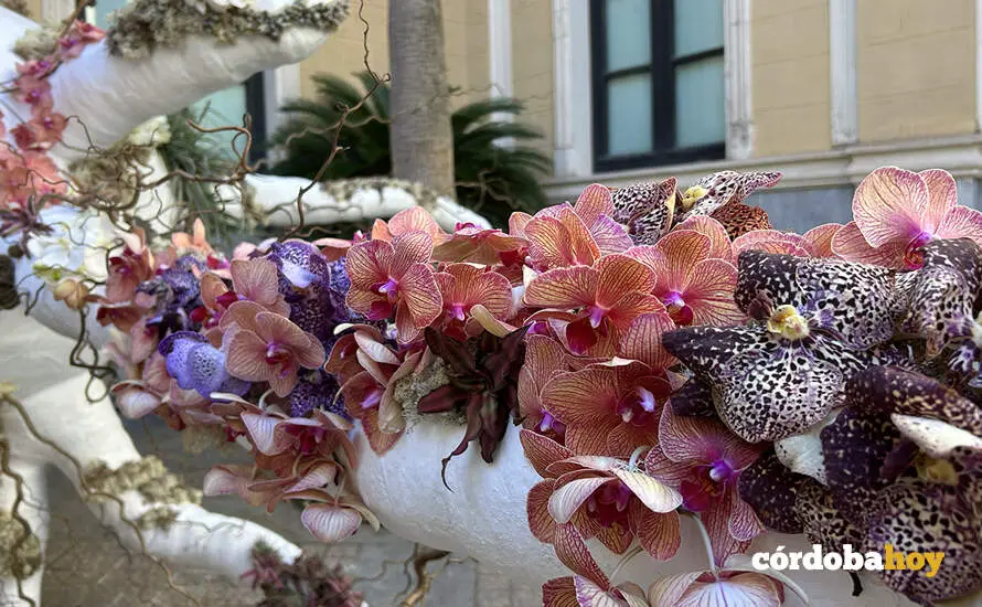 Flora 832