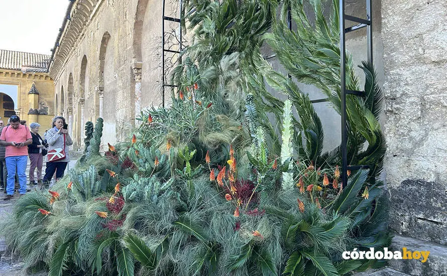 FLORA 0356