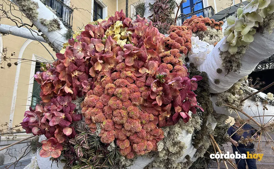 FLORA 776