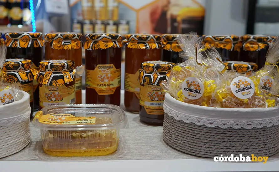 Sabores de cordoba