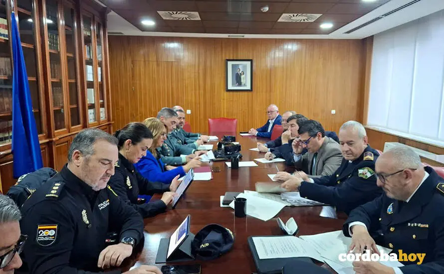 Junta Local de Seguridad
