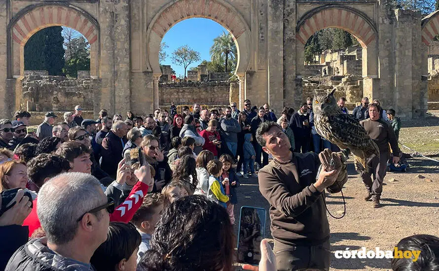 Actividad con aves rapaces en Medina Azahara FOTO LA MIRONERA