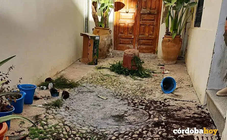 Estado del estado de la Calleja de las Flores tras el acto vand&aacute;lico FOTO NODO CORDUBA