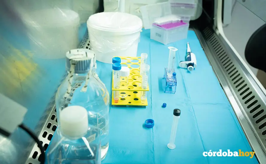 Salud confirma la presencia de Clostridium prefigens en la muestra de montadito de pring&aacute;, en una imagen de archivo. FOTO DAVID ZORRAKINO / EUROPA PRESS