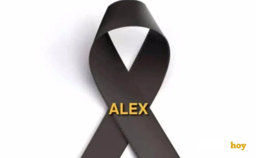 LAZO ALEX