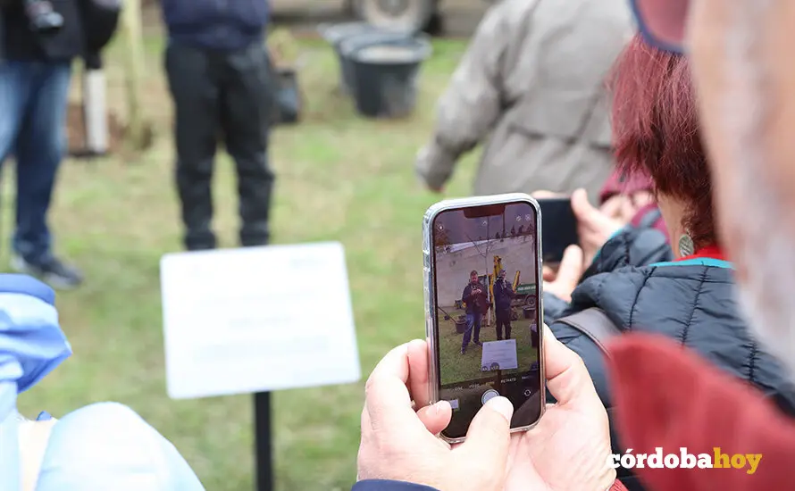 Plantaci&oacute;n de un almez en Miraflores en homenaje a Pepe Larios FOTO PODEMOS
