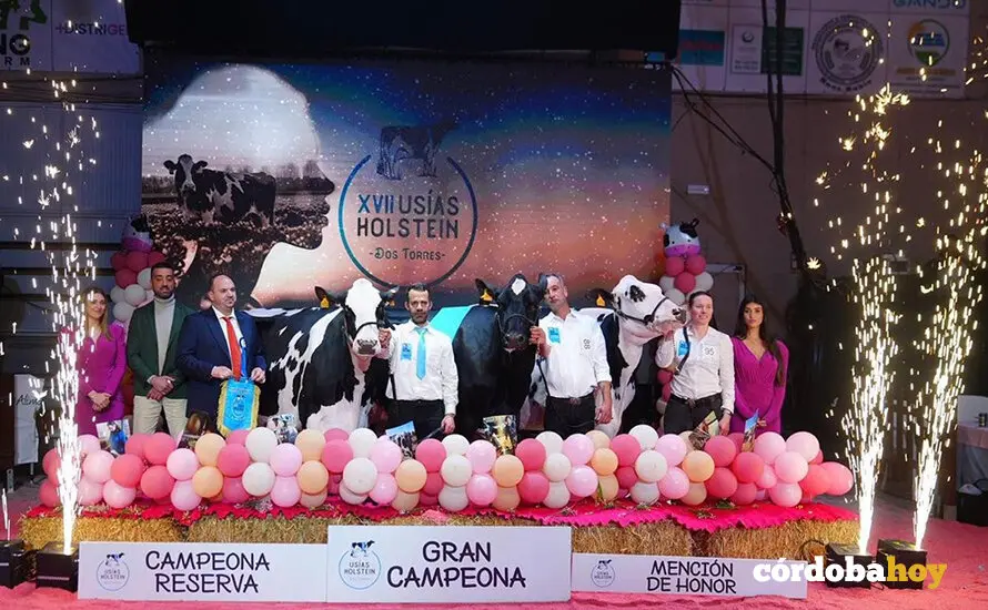 Las vacas ganadoras de la XVII Feria de Ganado Fris&oacute;n Us&iacute;as Holsteins
