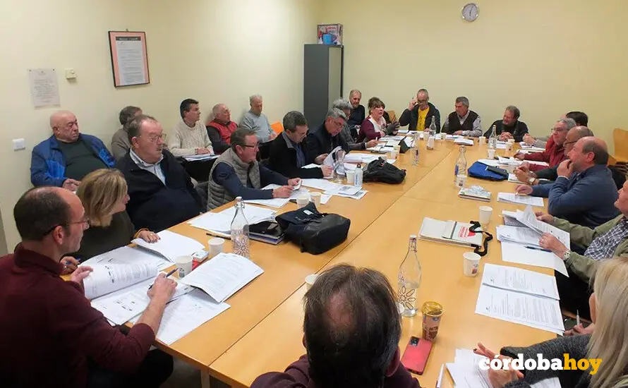 Plenario del Consejo del Movimiento Ciudadano de C&oacute;rdoba FOTO CMC