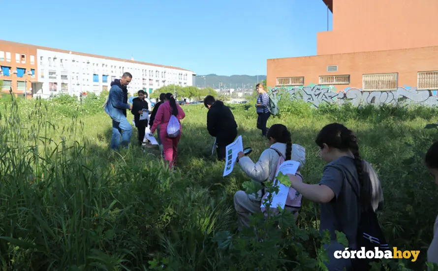 Un momento durante la actividad de identificaci&oacute;n de plantas en un descampado de Las Margaritas FOTO UCO