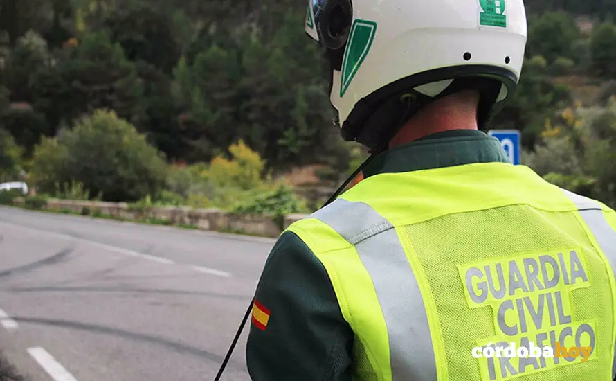 Guardia Civil tr&aacute;fico