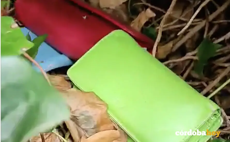 'Dep&oacute;sito' de carteras robadas en un matorral de El Zoco de la Juder&iacute;a FOTO COMERCIANTES DEL CASCO HIST&Oacute;RICO DE C&Oacute;RDOBA