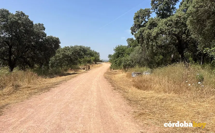 Nuevo sendero que conecta Norte y el Sur en el Parque del Patriarca
