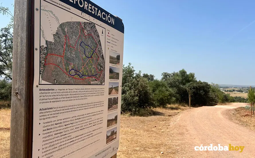 Nuevo sendero que conecta Norte y el Sur en el Parque del Patriarca