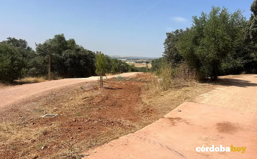 Nuevo sendero que conecta Norte y el Sur en el Parque del Patriarca