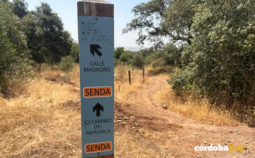 Nuevo sendero que conecta Norte y el Sur en el Parque del Patriarca