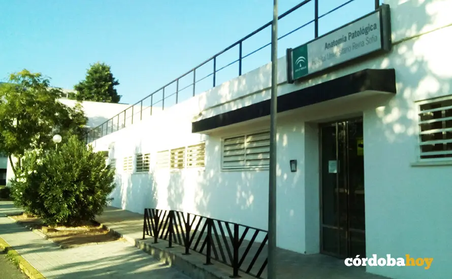 Anatom&iacute;a Patologica del Hospital Universitario Reina Sof&iacute;a de C&oacute;rdoba FOTO CCOO