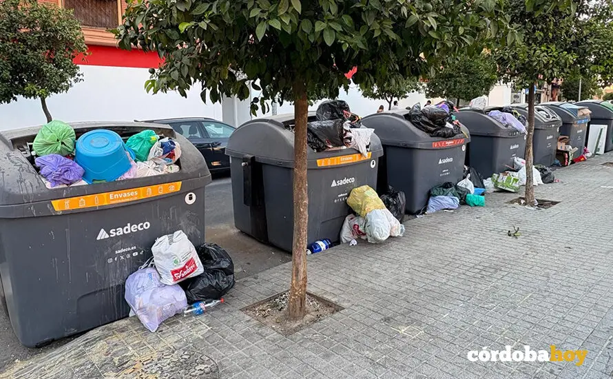 Contenedores llenos sin tapa en la calle Arcos de la Frontera de C c&oacute;rdoba FOTO FACUA