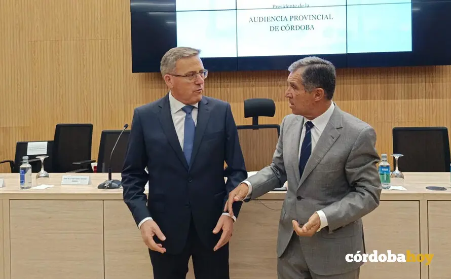 PRESIDENTE DE LA AUDIENCIA