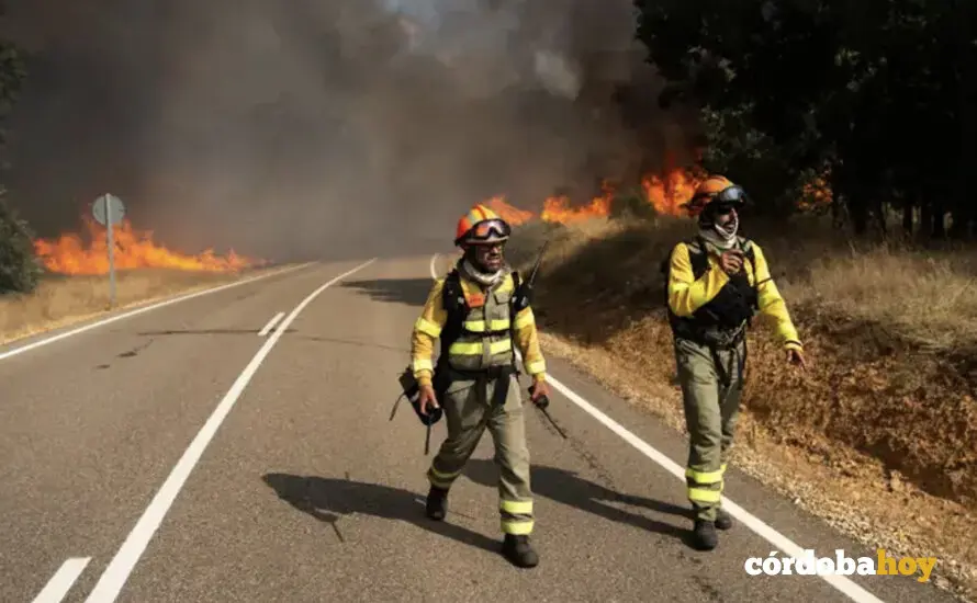 Bomberos forestales trabajan para extinguir el incendio en Molezuelas de la Carballeda, Zamora FOTO EMILIO FRAILE / EUROPA PRESS
