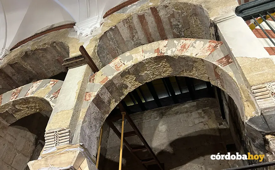 MEZQUITA 888