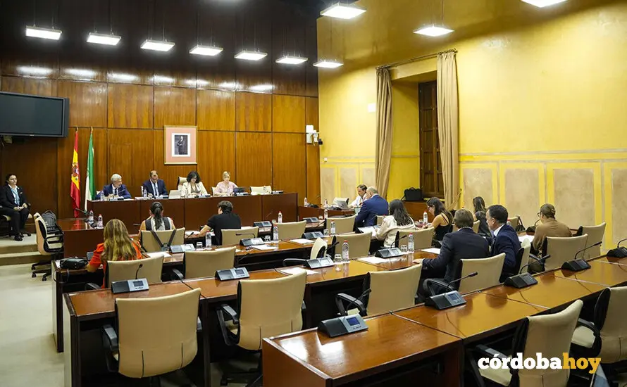 Imagen de este martes de la comparecencia del director general de la RTVA, Juan de Dios Mellado, en comisi&oacute;n parlamentaria FOTO JOAQU&Iacute;N CORCHERO / PARLAMENTO DE ANDALUC&Iacute;A
