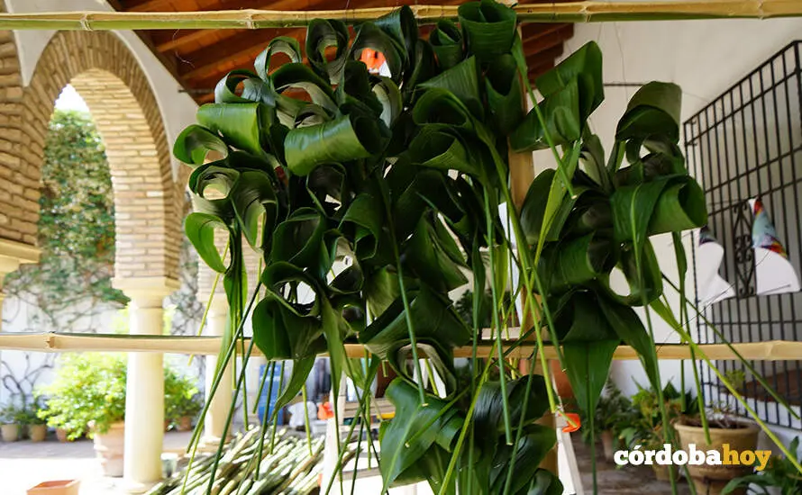 FLORA 9