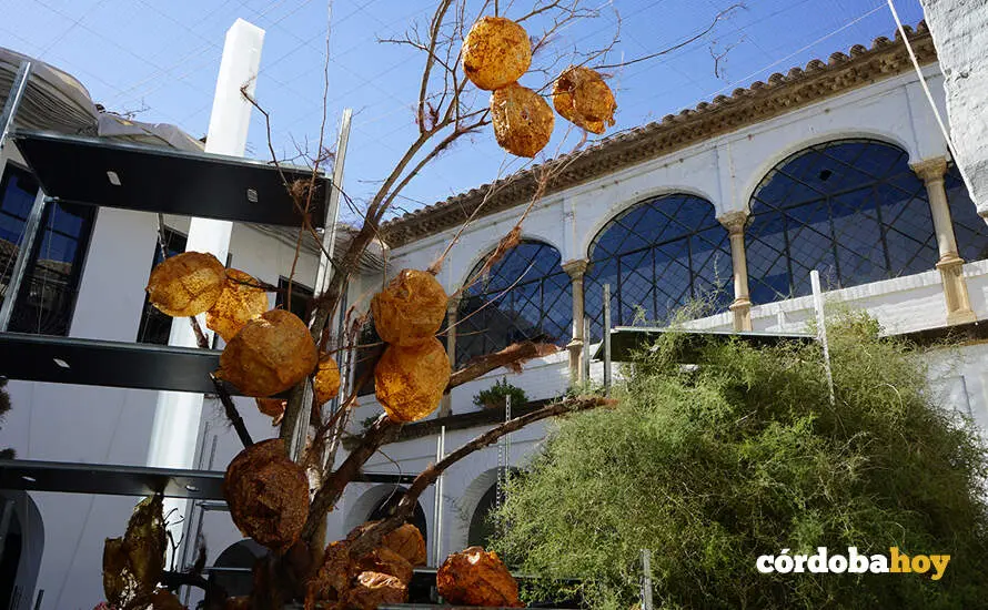 Composici&oacute;n de FLORA 2025