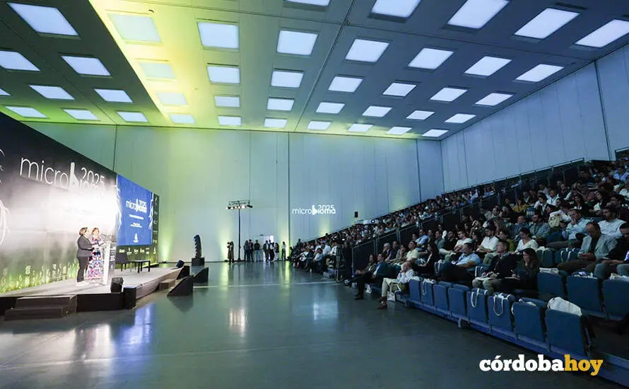 Un congreso en el CEFC de C&oacute;rdoba, en una imagen de archivo FOTO AYUNTAMIENTO DE C&Oacute;RDOBA