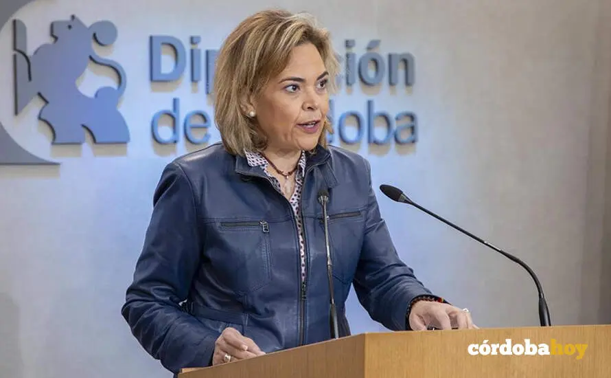 Diputaci&oacute;n