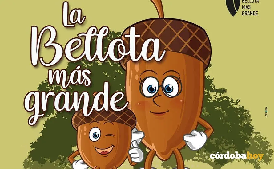 la bellota m&aacute;s grande