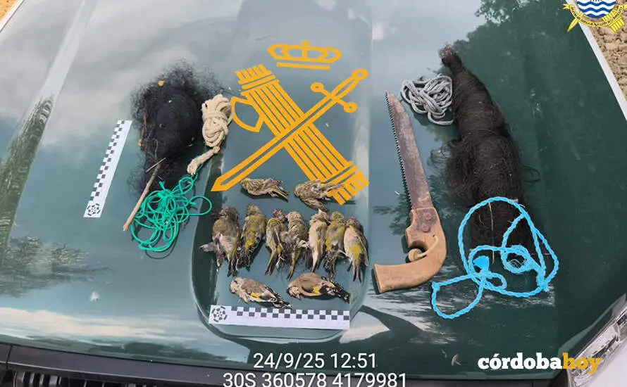 Parte del material y las aves incautadas por los agentes del Seprona en Santa Cruz FOTO GUARDIA CIVIL