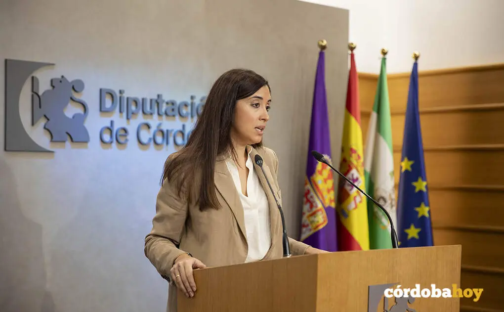 La diputada de Hacienda y Fondos Europeos de la instituci&oacute;n provincial, Ana Rosa Ruz FOTO DIPUTACI&Oacute;N DE C&Oacute;RDOBA
