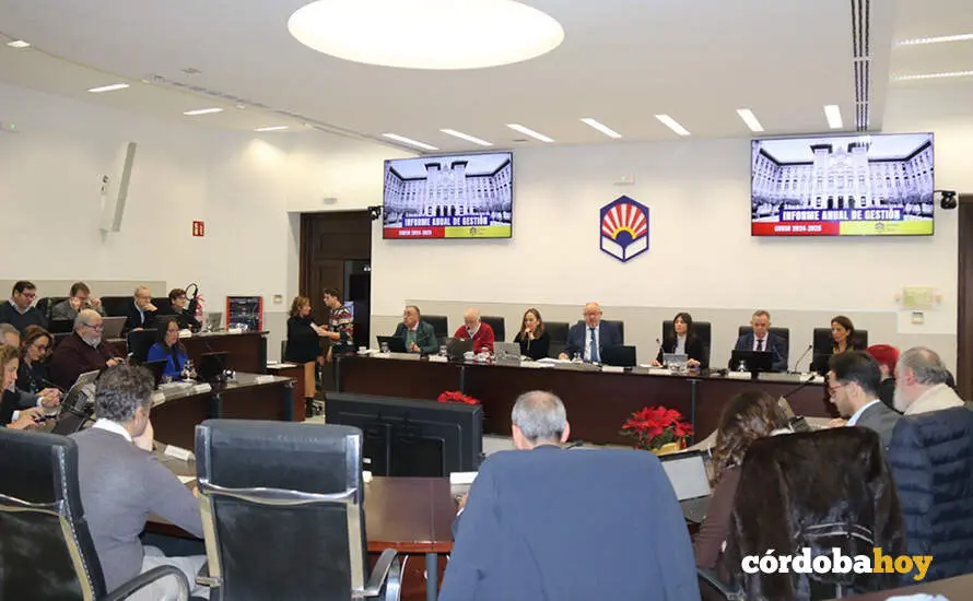 Reuni&oacute;n del consejo de gobierno de la Universidad de C&oacute;rdoba, en la que se ha aprobado el proyecto de presupuesto de la UCO para 2026 FOTO UCO