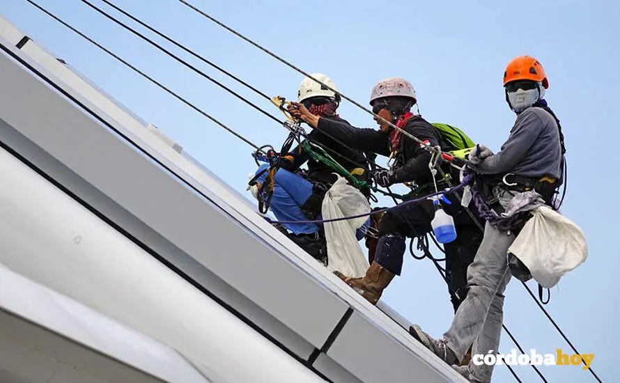 Seguridad en el trabajo FOTO JUNTA DE ANDALUC&Iacute;A