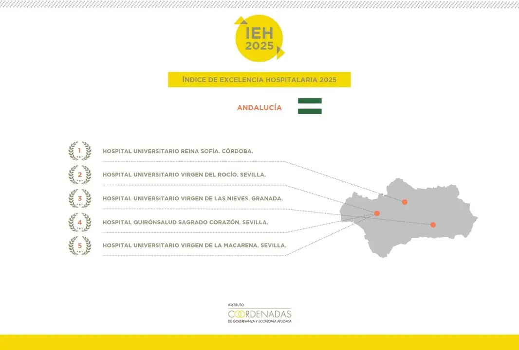 Infograf&iacute;a del &Iacute;ndice de Excelencia Hospitalaria FOTO EUROPA PRESS