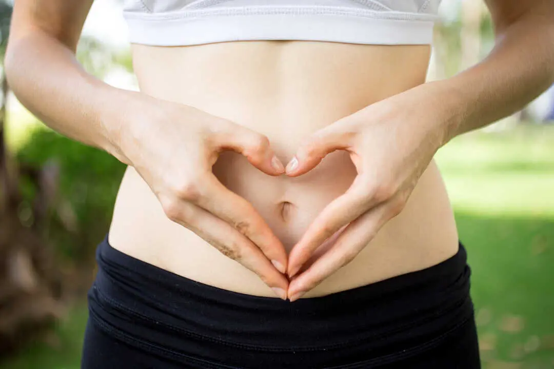  Qu&eacute; papel juegan los probi&oacute;ticos en el bienestar intestinal 