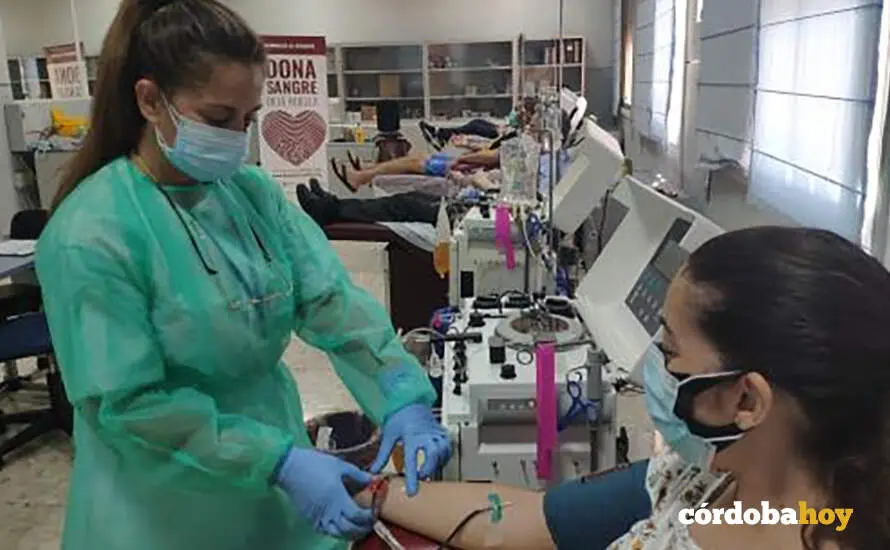 Recogida de sangre en el Centro de Transfusi&oacute;n de C&oacute;rdoba, en una imagen de archivo FOTO JUNTA DE ANDALUC&Iacute;A