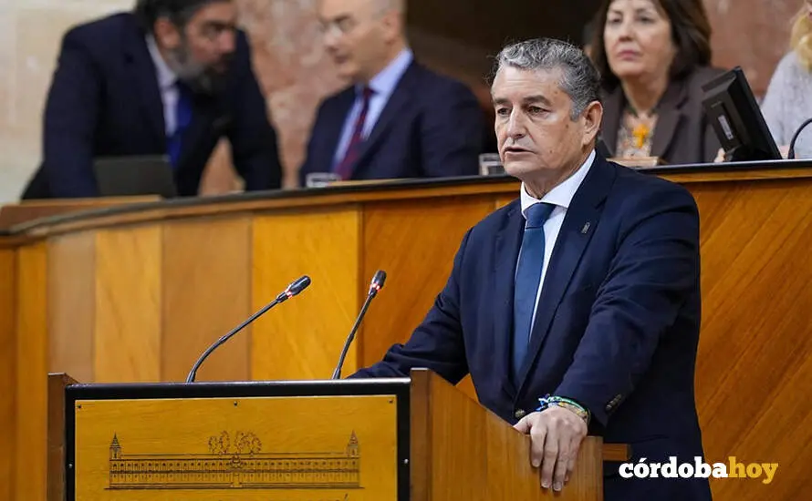El consejero de Sanidad, Presidencia y Emergencias, Antonio Sanz, este jueves en un Pleno extraordinario del Parlamento FOTO FRANCISCO J. OLMO / EUROPA PRESS
