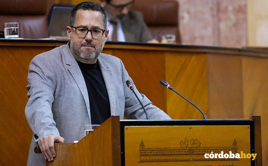 El portavoz del Grupo Mixto-Adelante Andaluc&iacute;a, Jos&eacute; Ignacio Garc&iacute;a, interviene en el Pleno del Parlamento andaluz FOTO FRANCISCO J. OLMO / EUROPA PRESS