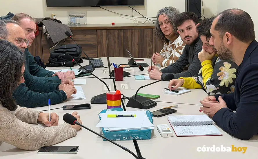 Encuentro entre IU y Satse FOTO IU