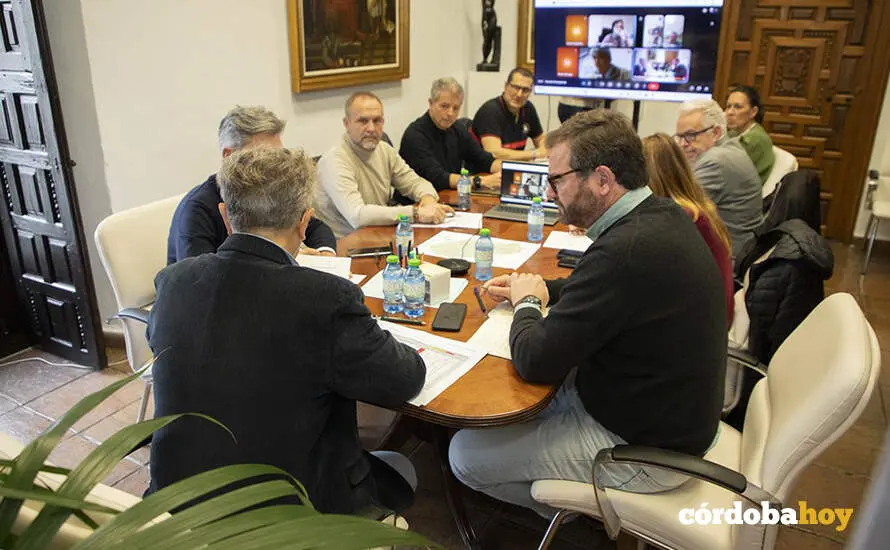 Reuni&oacute;n del Comit&eacute; Provincial de Emergencias de la Diputaci&oacute;n de C&oacute;rdoba FOTO DIPUTACI&Oacute;N DE C&Oacute;RDOBA