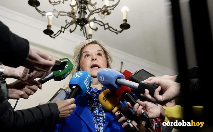 La fiscal superior de Andaluc&iacute;a, Ana T&aacute;rrago, en la reuni&oacute;n de la Junta de Fiscales Jefes Provinciales y de &Aacute;rea FOTO Eduardo Briones / Europa Press