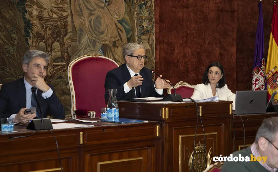 diputaci&oacute;n pleno 2