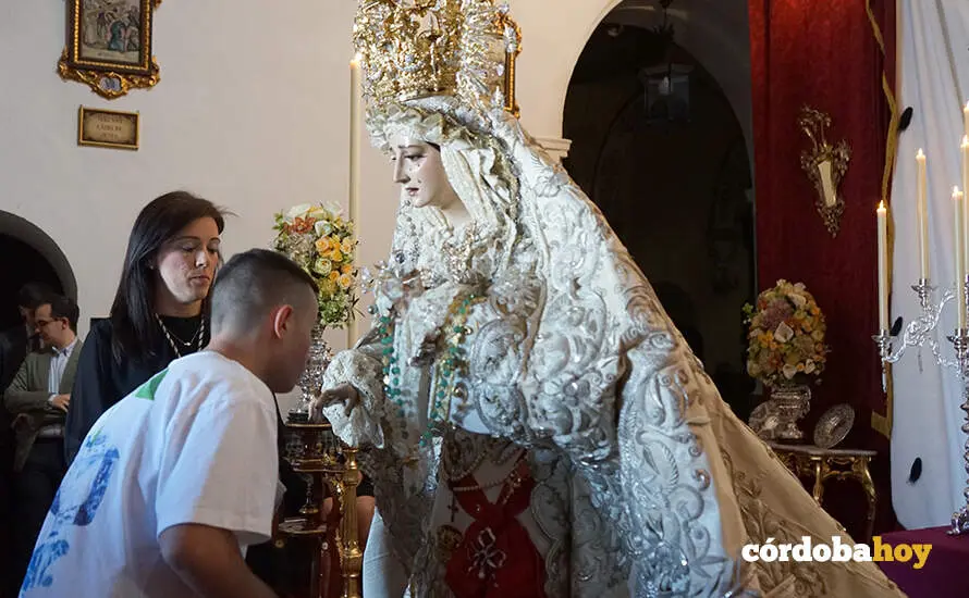 DOLORES 231