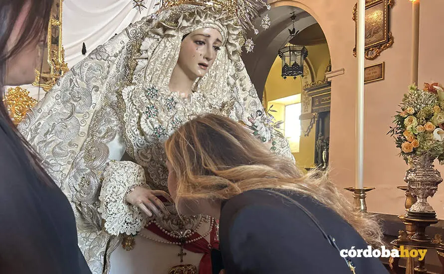 XOLORES 3